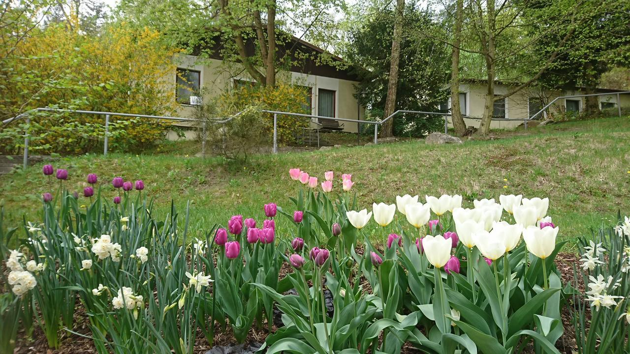Gaestehaus Chorin Exterior photo